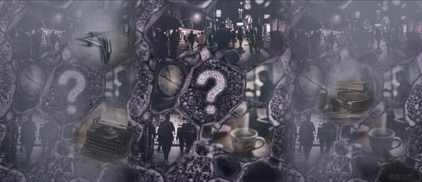 微觀切片 No.04｜維修的價值